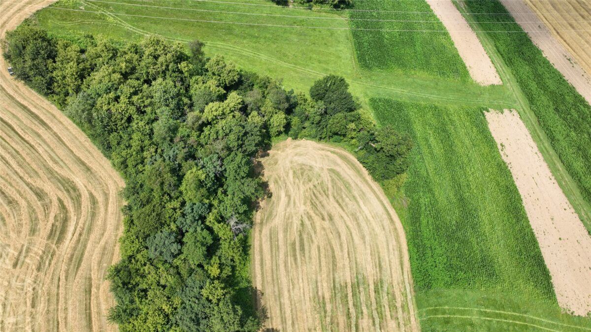 XX Pierzena Ln, Arcadia WI 54612 - Land house for sale - MLS #1603738 - image10