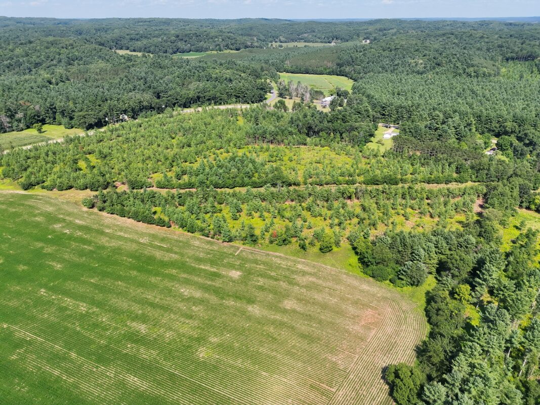 XX State Highway 79, Boyceville WI 54725 - Land house for sale - MLS #1603822 - image12