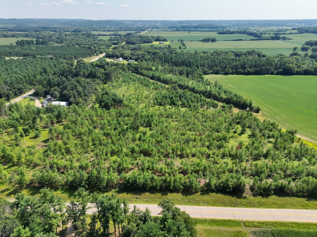XX State Highway 79, Boyceville WI 54725 - Land house for sale - MLS #1603822 - image15