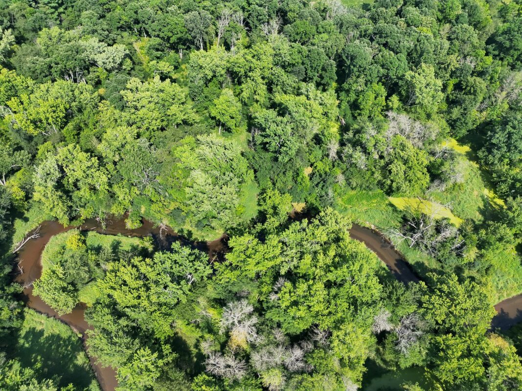 XX State Highway 79, Boyceville WI 54725 - Land house for sale - MLS #1603822 - image16
