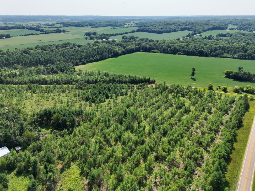 XX State Highway 79, Boyceville WI 54725 - Land house for sale - MLS #1603822 - image17