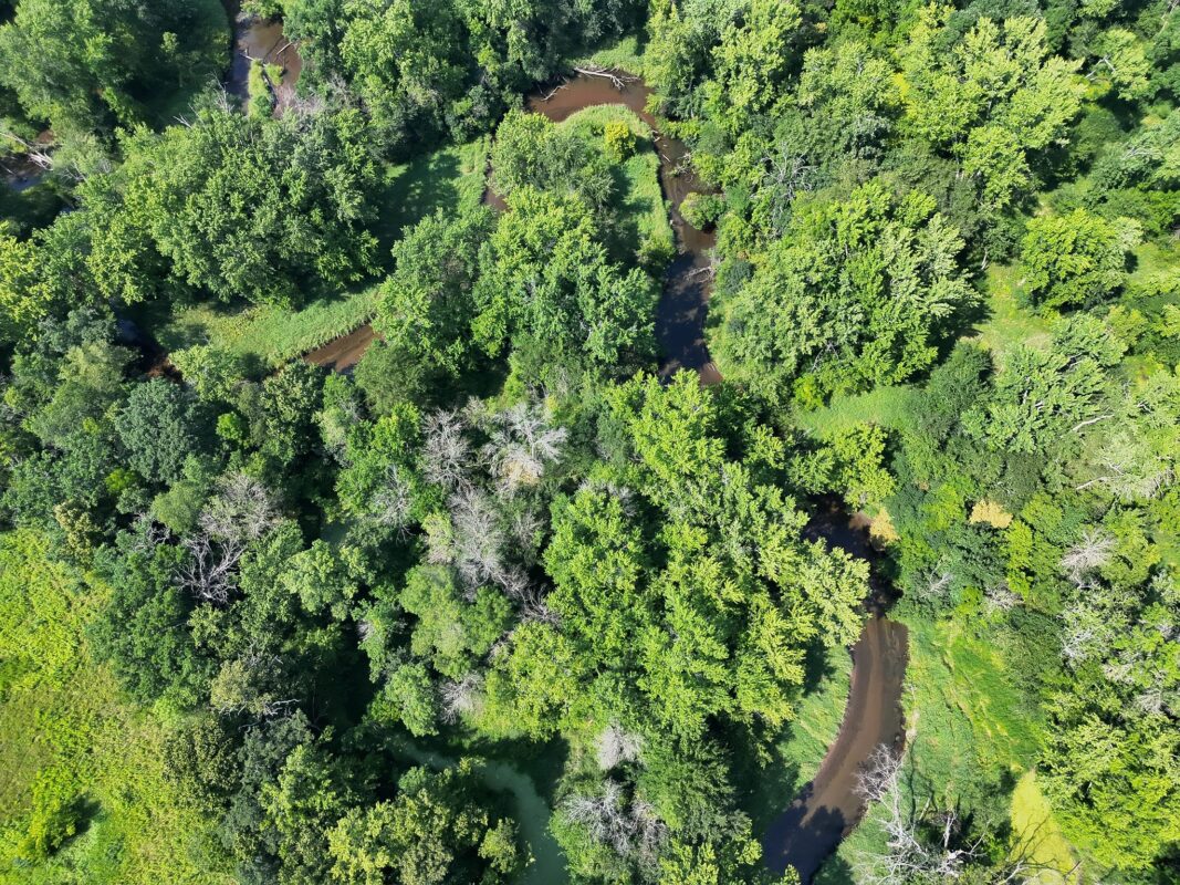 XX State Highway 79, Boyceville WI 54725 - Land house for sale - MLS #1603822 - image20