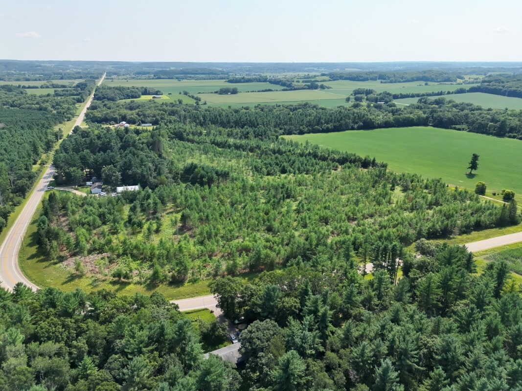 XX State Highway 79, Boyceville WI 54725 - Land house for sale - MLS #1603822 - image3