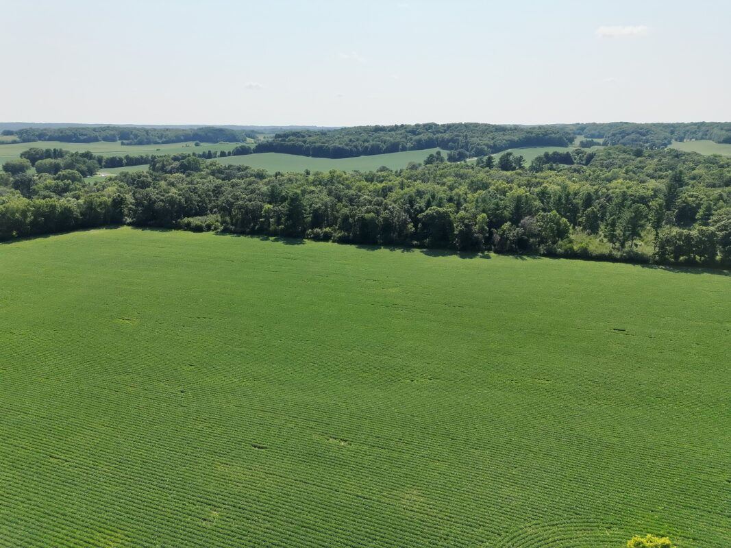 XX State Highway 79, Boyceville WI 54725 - Land house for sale - MLS #1603822 - image22