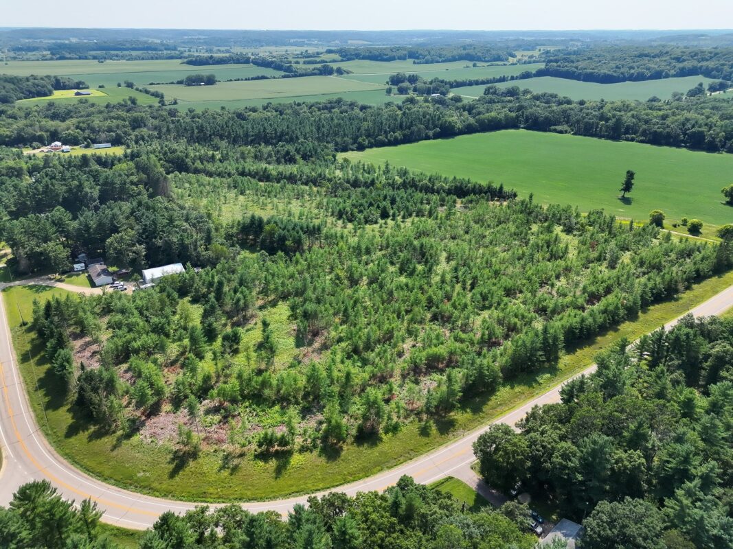 XX State Highway 79, Boyceville WI 54725 - Land house for sale - MLS #1603822 - image23