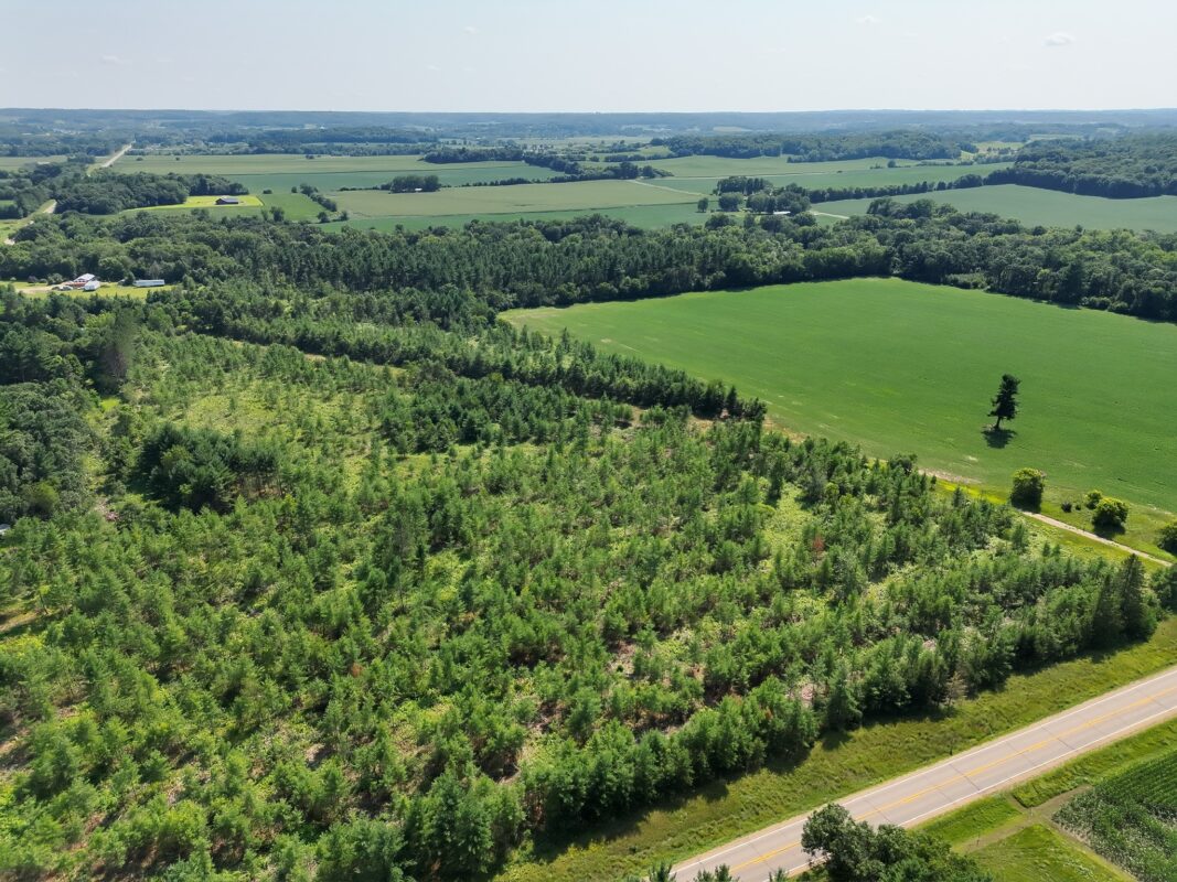 XX State Highway 79, Boyceville WI 54725 - Land house for sale - MLS #1603822 - image24