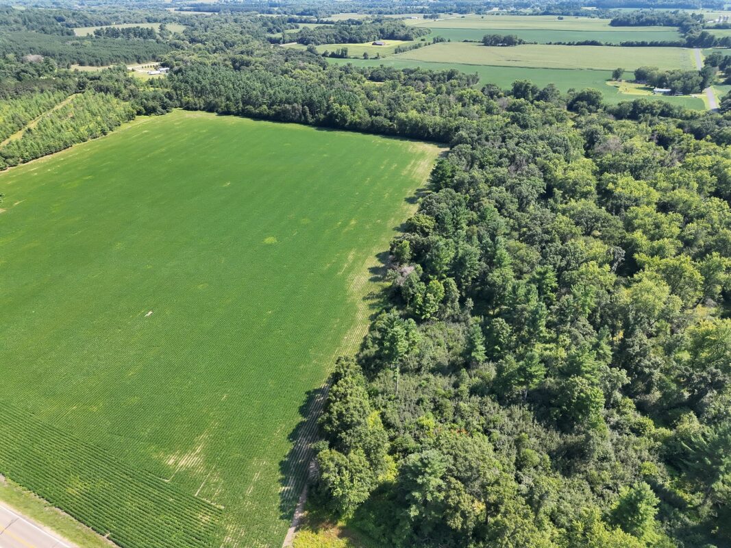 XX State Highway 79, Boyceville WI 54725 - Land house for sale - MLS #1603822 - image28