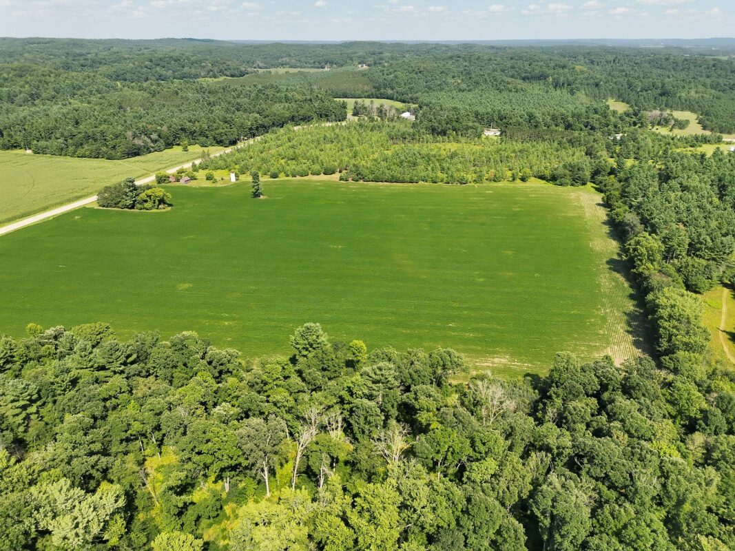 XX State Highway 79, Boyceville WI 54725 - Land house for sale - MLS #1603822 - image4