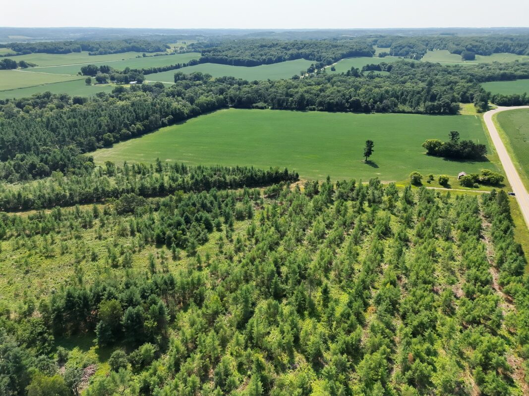 XX State Highway 79, Boyceville WI 54725 - Land house for sale - MLS #1603822 - image31
