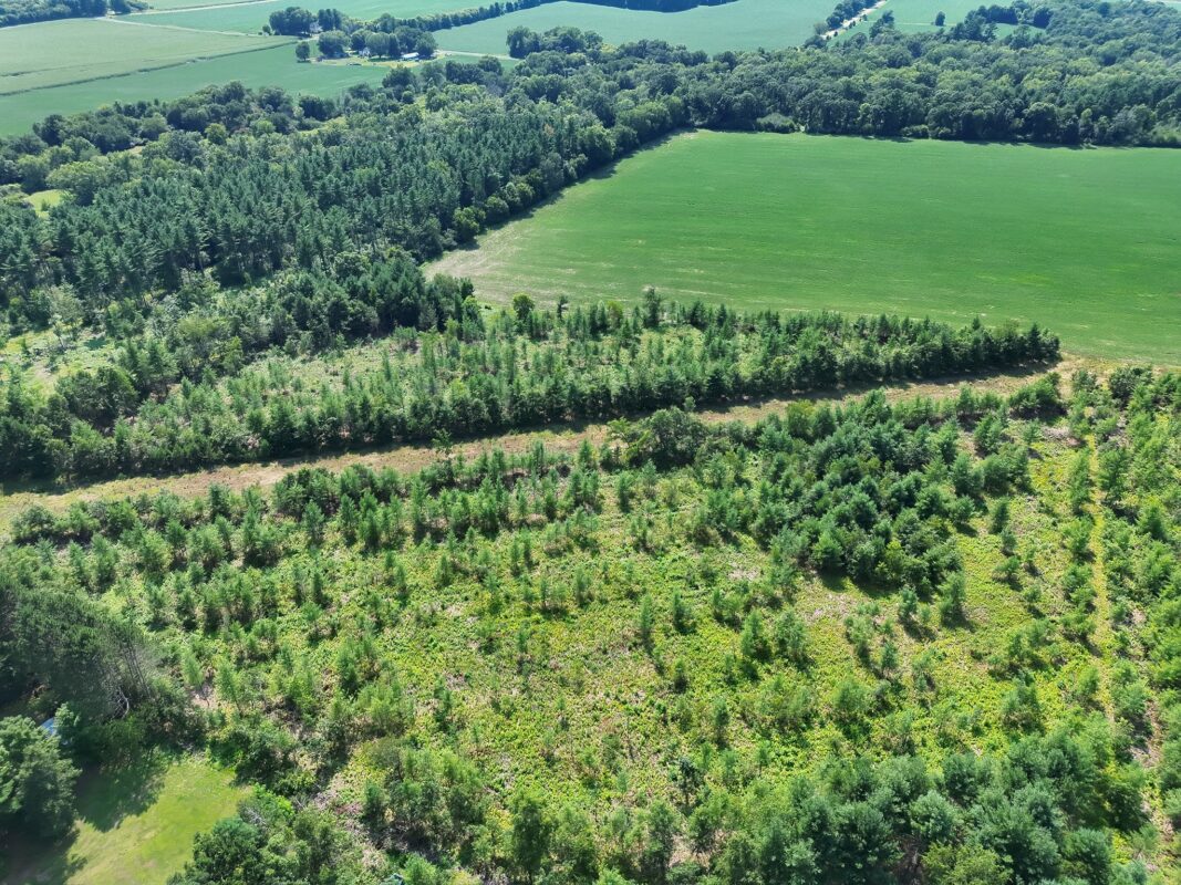 XX State Highway 79, Boyceville WI 54725 - Land house for sale - MLS #1603822 - image5