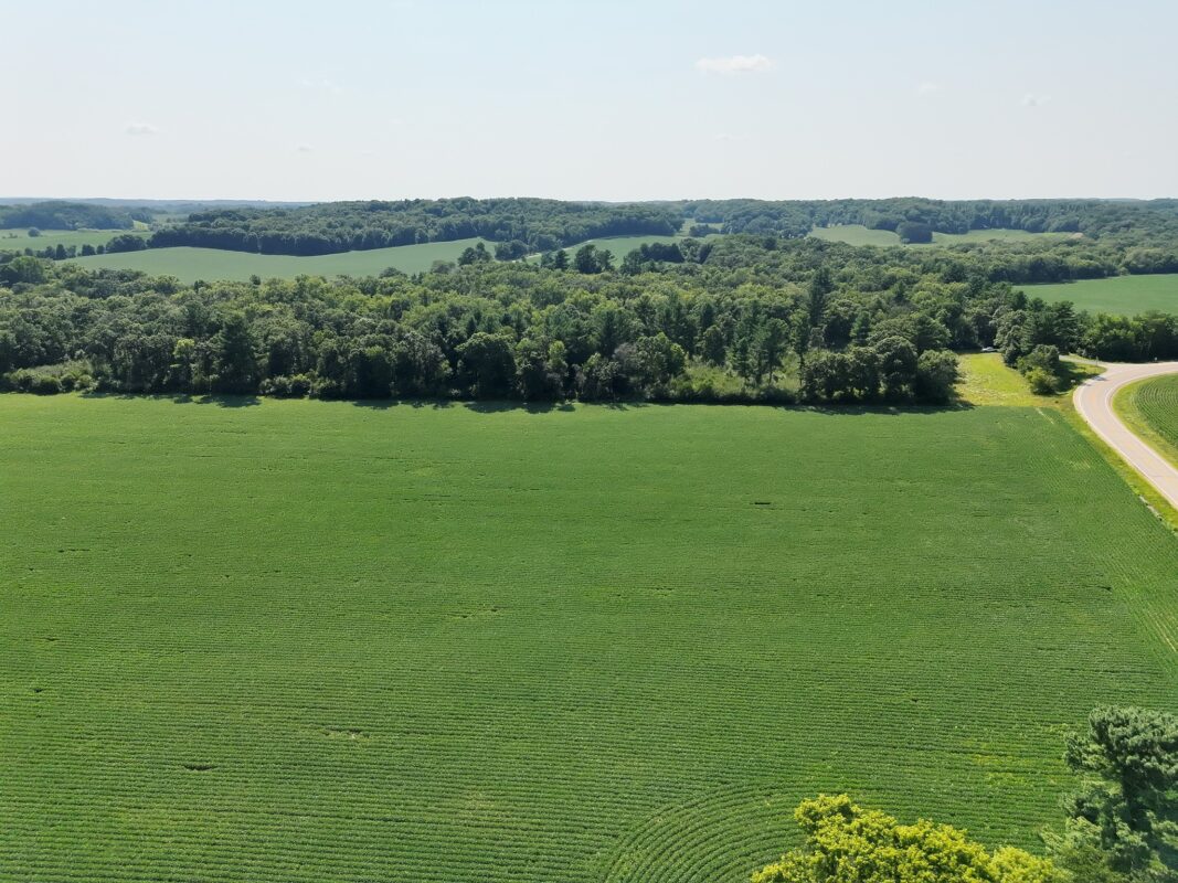 XX State Highway 79, Boyceville WI 54725 - Land house for sale - MLS #1603822 - image6