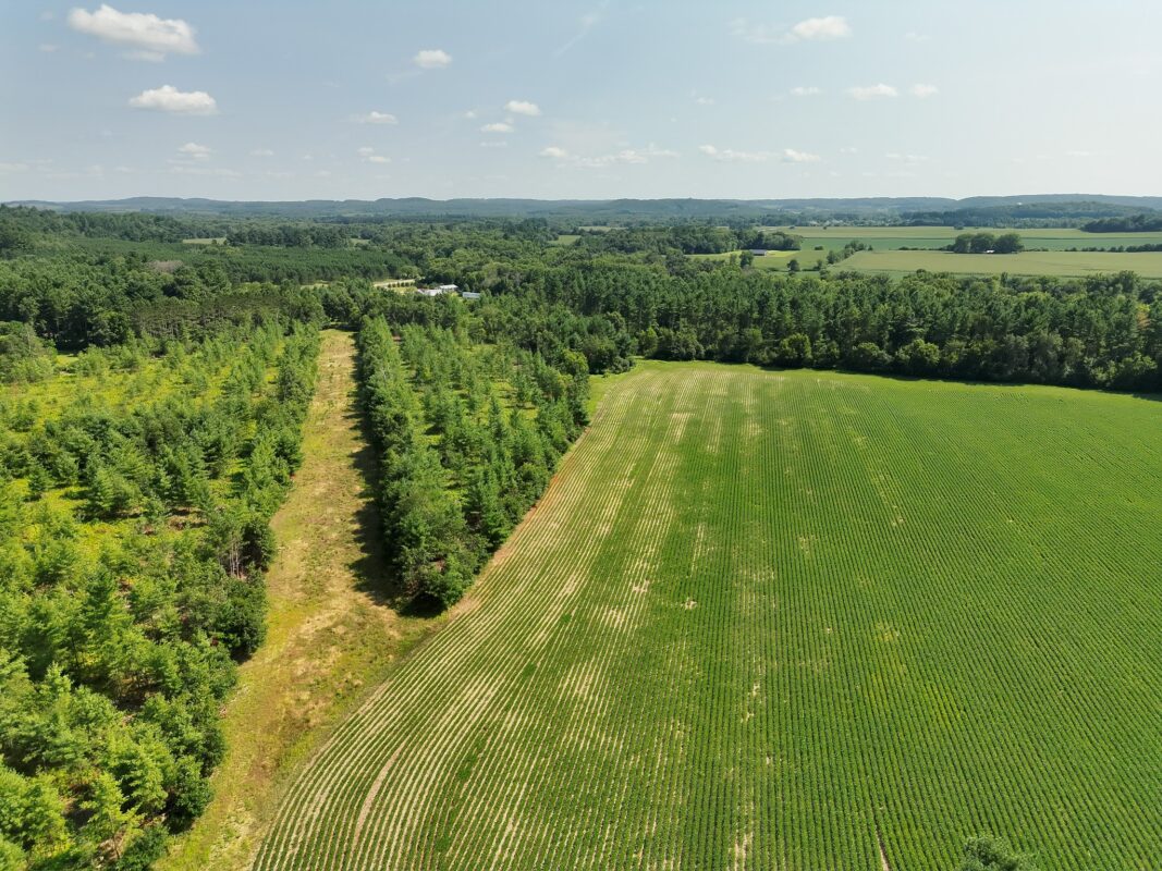 XX State Highway 79, Boyceville WI 54725 - Land house for sale - MLS #1603822 - image7
