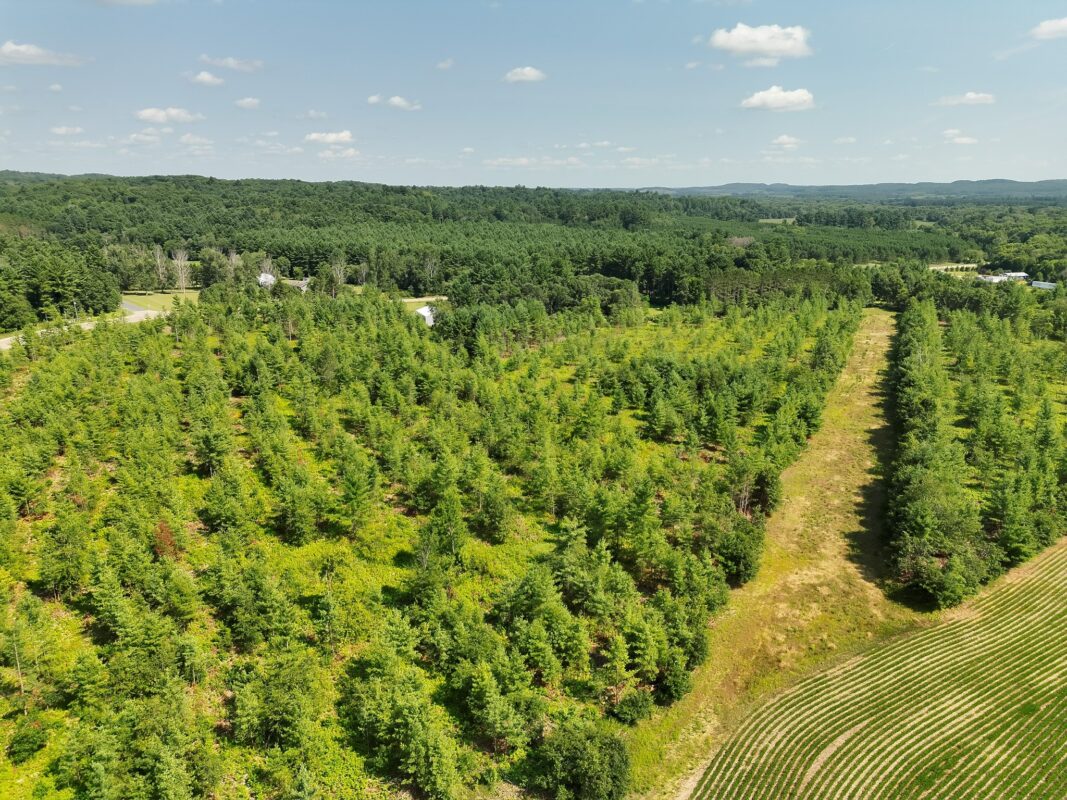 XX State Highway 79, Boyceville WI 54725 - Land house for sale - MLS #1603822 - image8
