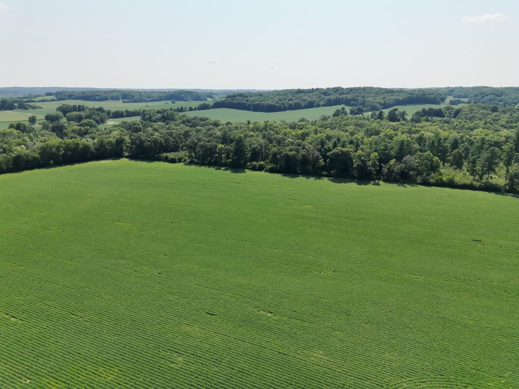 XX State Highway 79, Boyceville WI 54725 - Land house for sale - MLS #1603822 - image9