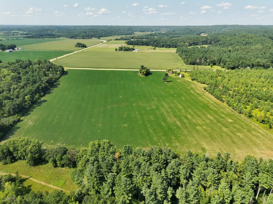 XX State Highway 79, Boyceville WI 54725 - Land house for sale - MLS #1603822 - image10