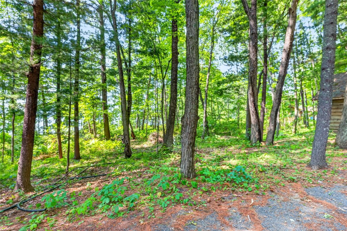 XXXX Lone Trail Lane, Spooner WI 54801 - Land house for sale - MLS #1604024 - image11