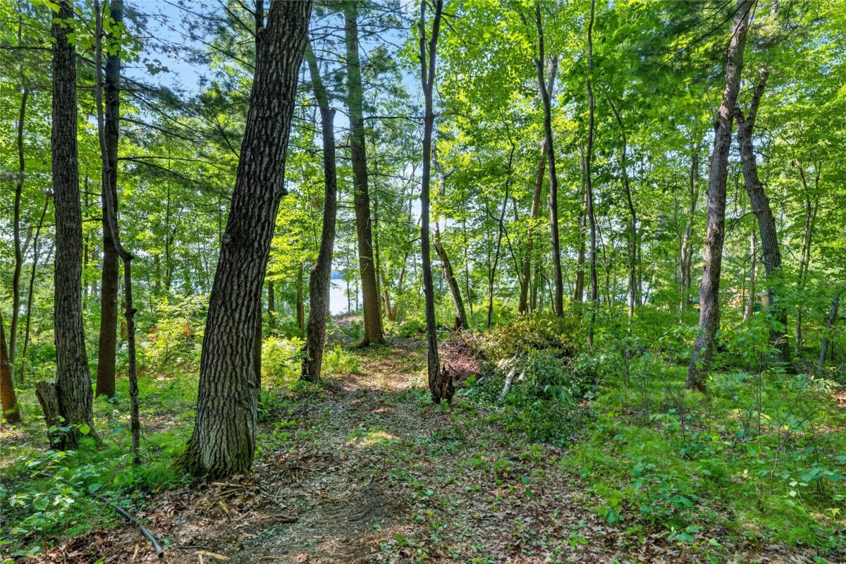 XXXX Lone Trail Lane, Spooner WI 54801 - Land house for sale - MLS #1604024 - image12